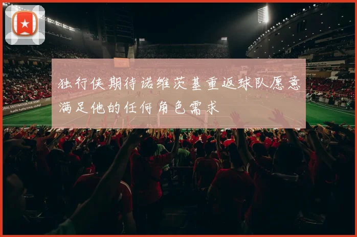 独行侠期待诺维茨基重返球队愿意满足他的任何角色需求