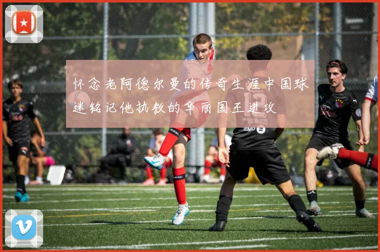 怀念老阿德尔曼的传奇生涯中国球迷铭记他执教的华丽国王进攻